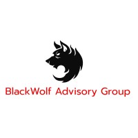 BlackWolf Advisory Group logo - Similar company to Blackwolf