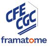 CFE-CGC Framatome logo - Similar company to Framatome Ag