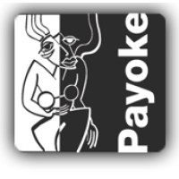 PAYOKE logo - Similar company to Octopus Project