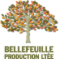 Bellefeuille production ltd logo - Similar company to Silverbackvr