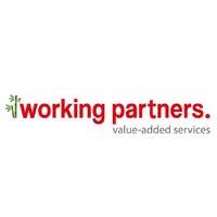 Working Partners logo - Similar company to Saymod Sl