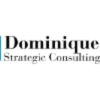 Dominique Strategic Consulting logo - Similar company to Seron Electronics