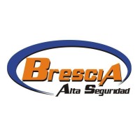 Brescia Alta Seguridad SRL logo - Similar company to Switch It