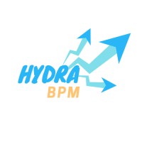 Hydra BPM logo - Similar company to Bpm Link