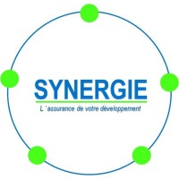 Cabinet Synergie logo - Similar company to Proterrain Infos