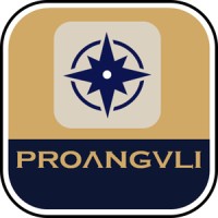 Proanguli Llc