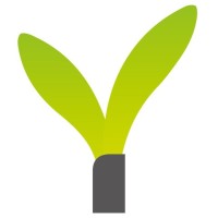 Webseeds Optimalisatie Strategie logo - Similar company to Cue Co., Ltd.