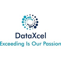 DataXcel Ltd logo - Similar company to Thedataxcel