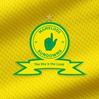 Mamelodi Sundowns F.C. logo - Similar company to Finware Enterprise Systems