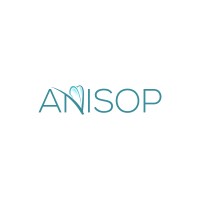 Anisop Holdings logo - Similar company to Complete Host