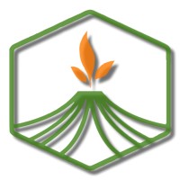 Volcanic Solutions LLC logo - Similar company to Sonic Leads & Development