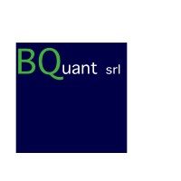 BQuant logo - Similar company to Bequant