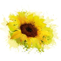 Alters- & Pflegeheim Unteres Seetal logo - Similar company to Wsh-Support Gmbh