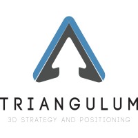 Triangulum 3D logo - Similar company to Triangulum Hb