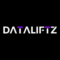 Dataliftz Solution logo - Similar company to Aspirecademy