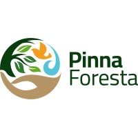 PT. Pinna Foresta Raya logo - Similar company to Proenergi