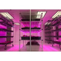 BAMBOX Produce logo - Similar company to Phoenix Microgreens
