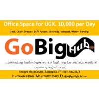 Go Big Finance And Mentorship Hub