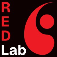 RED Lab (Reality Experience Design) logo - Similar company to Fekki.Io