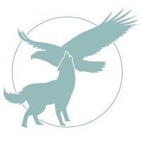 Run Wild Studio logo - Similar company to Accel Offshore