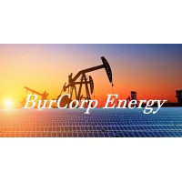 Burcorp Energy logo - Similar company to Texzon Utilities