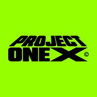 PROJECT ONE GROUP logo - Similar company to Dar Visual Studio
