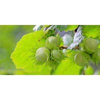 Societa' Agricola 