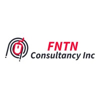 FNTN Consultancy Inc logo - Similar company to Vknow Consultancy Inc