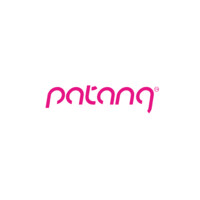 Patang logo - Similar company to Botnous