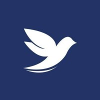 Yes Care Services Ltd. logo - Similar company to Randomlight Ltd.