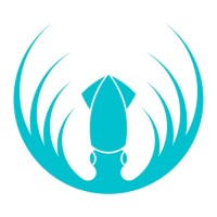 Squid Academy Ltd. logo - Similar company to Froglet Games