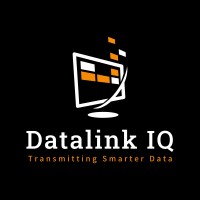 Datalink IQ logo - Similar company to Snaju Inc.