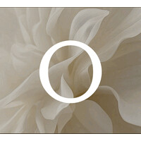 OTIS Realty Private Limited logo - Similar company to Neev Lifespacess