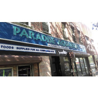 Paradise Aquarium logo - Similar company to Amalgam Design Lab Pvt Ltd