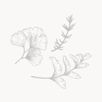 HOWARD DESIGN STUDIO logo - Similar company to Rede Arquitetos