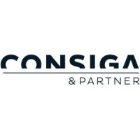 CONSIGA & PARTNER consulting GmbH logo - Similar company to Mission Sync Llc
