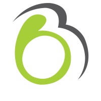 Babalyoon Advertising logo - Similar company to Balloora