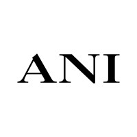 ANI Jewels logo - Similar company to Vissy Comms