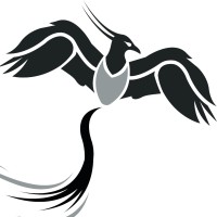 Pheanix Aangifte Online