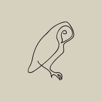 Noctua Rare and Collectible Books logo - Similar company to Branding Style Guides