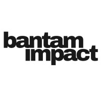 Bantam Impact Consulting logo - Similar company to Aixblock