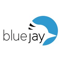 Blue Jay Eindhoven