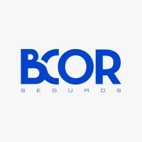 BCor Seguros logo - Similar company to Pln Consultoria De Negócios E Treinamento