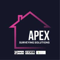APEX SURVEYING SOLUTIONS logo - Similar company to Reactivee