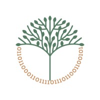 Beyond Binary Consulting