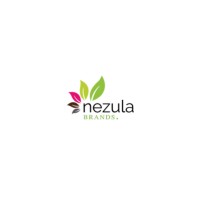 NEZULABRANDS logo - Similar company to Mulikasecurityserviceslimited