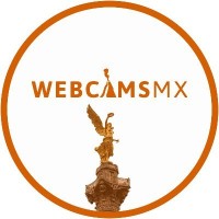 Webcams de México logo - Similar company to Espacio Open