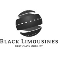 BlackLimousines GmbH logo - Similar company to Reliable Electronics