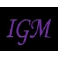 IGM Technologies logo - Similar company to Gravity