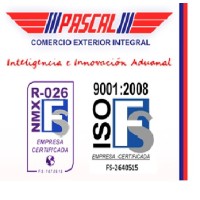 Agencia Aduanal Pascal logo - Similar company to Grupo Border S.C.P. Agencia Aduanal